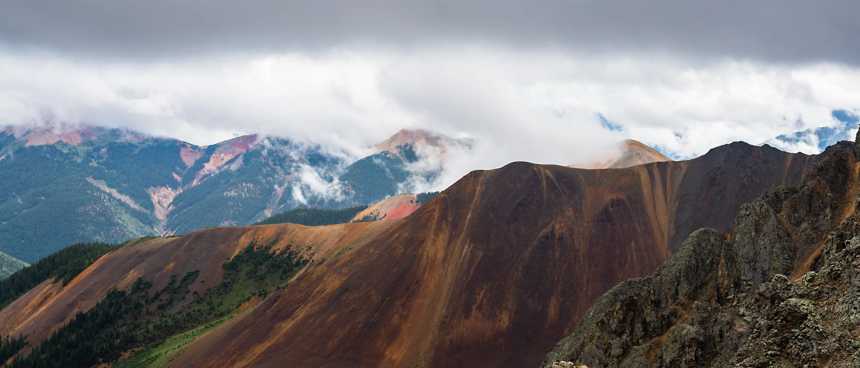 As If They Were Painted